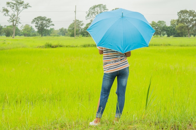 Woman with blue umbrella And green rice fields.