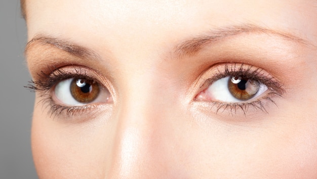 Woman with brown eyes and makeup