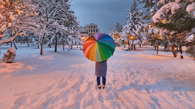 カラフルな傘を持つ女性は冬の公園の吹きだまりの間を歩く