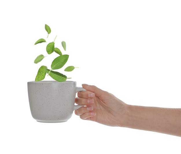 Woman with cup of aromatic sage tea on white background closeup