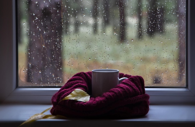 Photo woman with cup of coffee 156