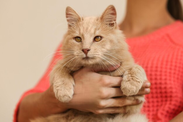 Woman with cute cat at home close up view