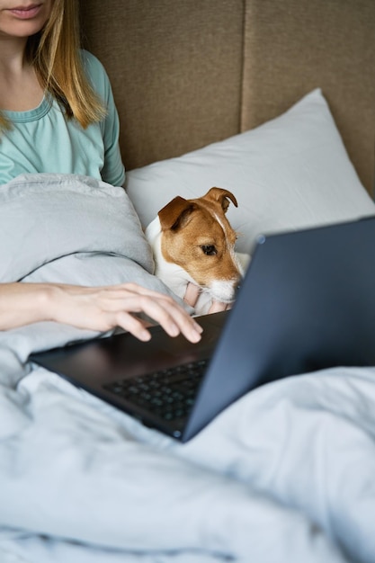 Woman with cute dog lying in bed and using laptop at morning