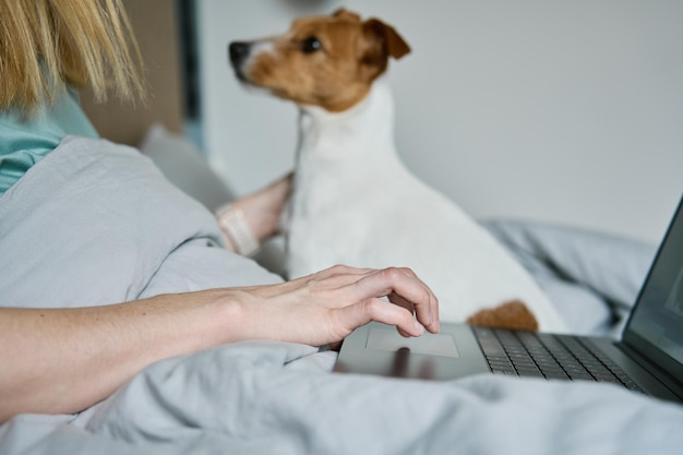 Donna con simpatico cane sdraiato a letto e utilizzando il computer portatile al mattino