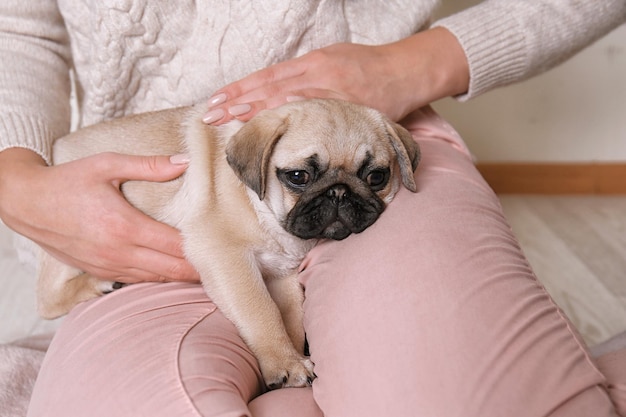 Woman with cute pug puppy sitting on floor at home closeup
