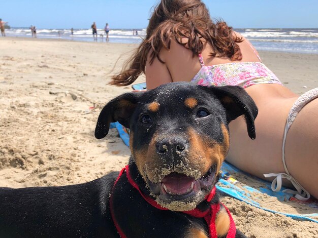 Photo woman with dog at beach