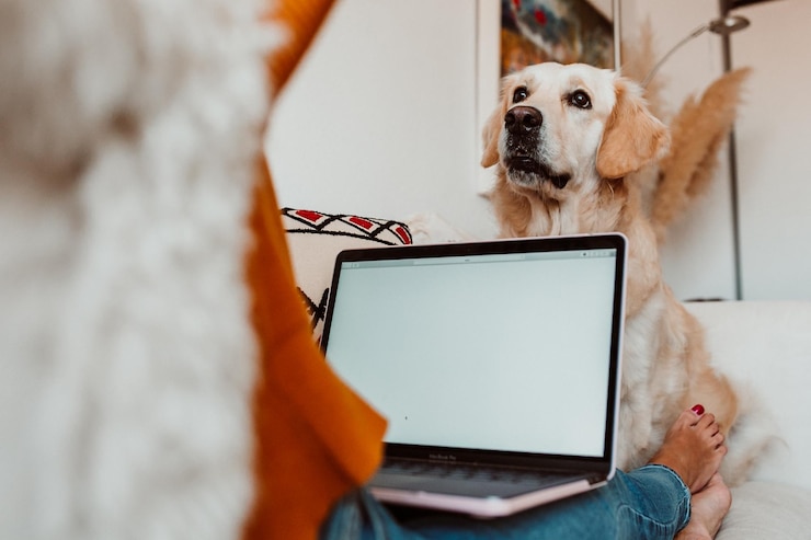 Photo woman with dog at home