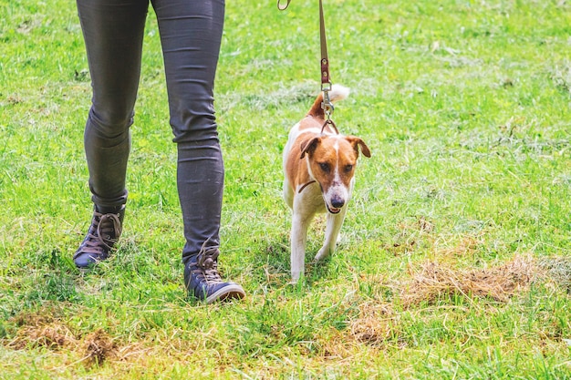 Donna con cane al guinzaglio durante una passeggiata