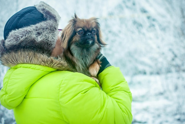 Woman with dog pekingese in winter park