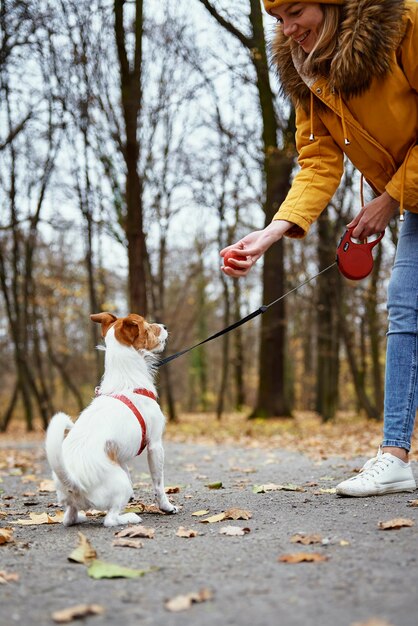 秋の公園で犬の散歩をする女性