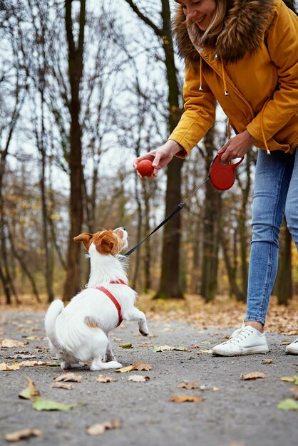 秋の公園で犬の散歩をする女性