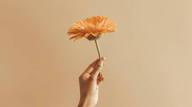 woman with flower on light background