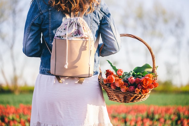 Woman with flowers in the basket on tulip field in spring Sunset light