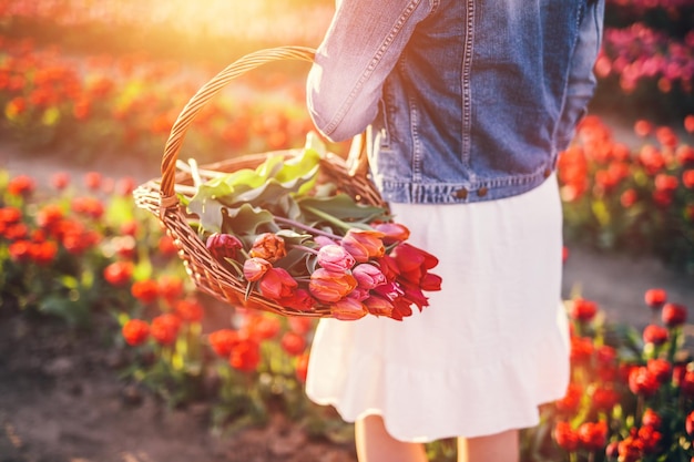 写真 春のチューリップ畑のバスケットに花を持つ女性