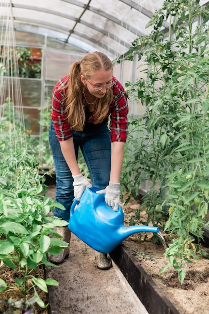 庭の水まき缶を持つ女性は、植物や緑のトマトのガーデニングと温室のコンセプトに水をまきます