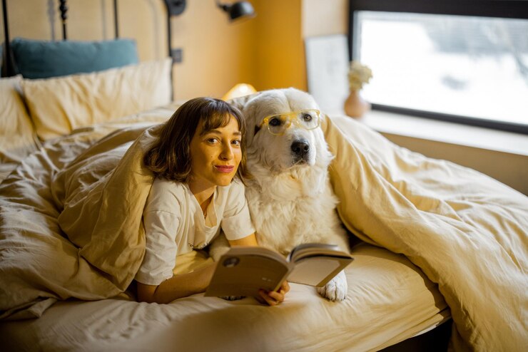 Woman with her cute dog reading book in bed