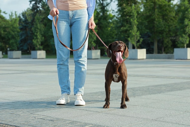 彼女のジャーマン ・ ショートヘアード ・ ポインター犬と一緒に街の通りのクローズ アップを歩いている女性