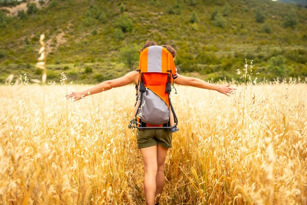 A woman with her son in the backpack in a field of yellow wheat grain ready for harvest