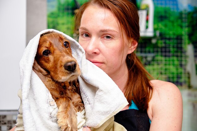 Photo woman with love dries english spaniel with a towel