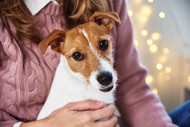 ペットの犬がリラックスしている女性。ペットケアのコンセプト