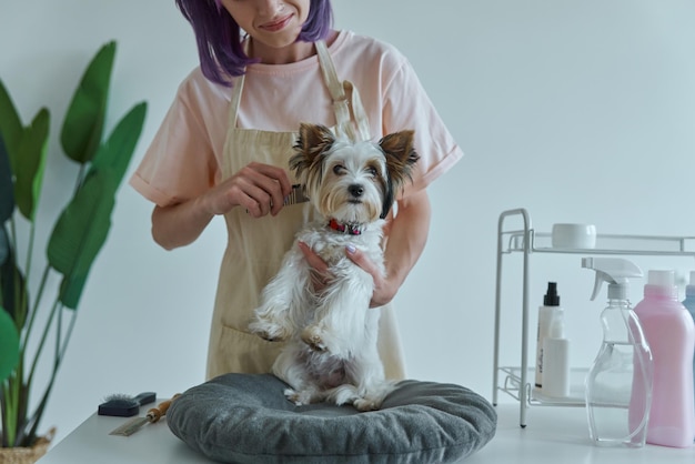 Photo a woman with purple hair and a dog on her head