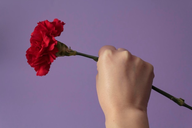 Woman with raised fist holding red carnation against purple background portuguese revolution symbol