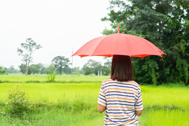 Photo woman with red umbrella and green rice fields.