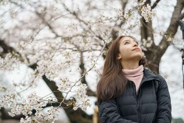 木の枝に桜の花または日本の桜を持つ女性。春の花。