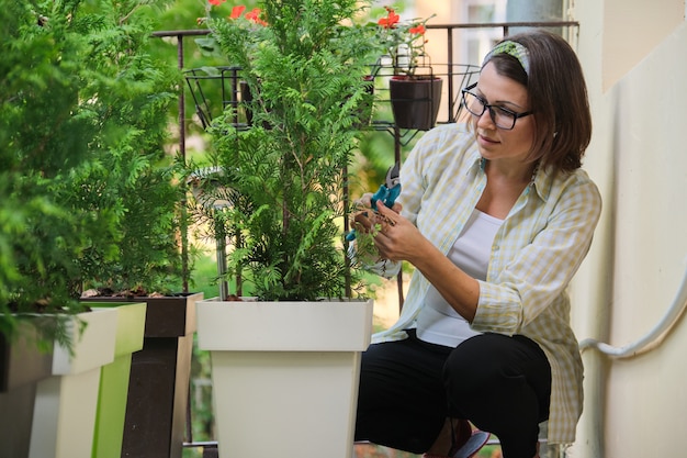 Woman with secateurs caring for an evergreen young bush of thuja plant