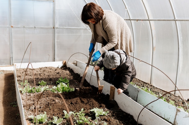 小さな男の子の孫を持つ女性は温室で野菜の苗を植える