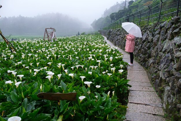 Foto donna con l'ombrello in piedi vicino alle piante in fiore