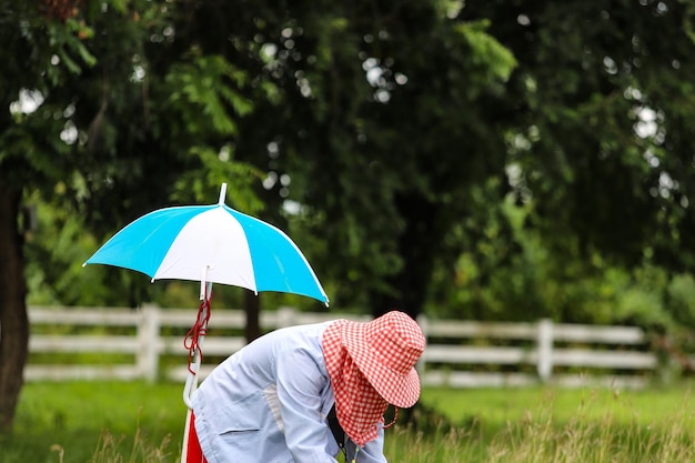 Фото Женщина с зонтиком стоит на поле