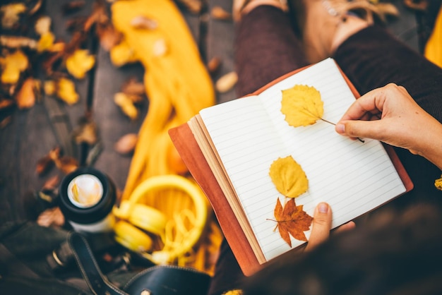 Photo woman with yellow scarf puts leaves between paper notebook pages sitting on wooden bridge