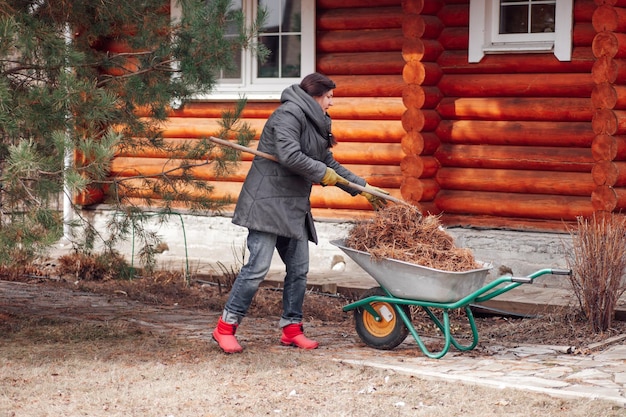 Woman worker in field jacket collecting old dry pine needles in wheelbarrow cart in garden Using compost mulching method Wooden house nearby Farming growing fertilizing and caring for plants