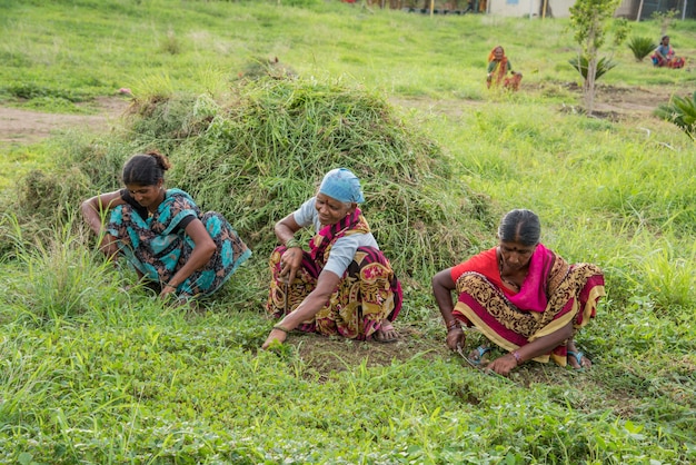 Woman workers cutting unwanted grass from garden field