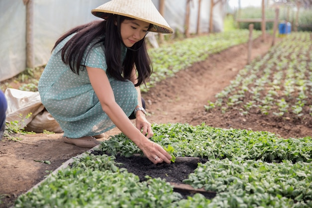 Woman working in a farm