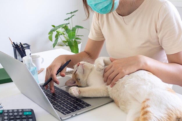 Woman working from home with her cat