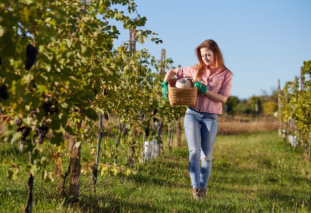 Donna che lavora in un vigneto