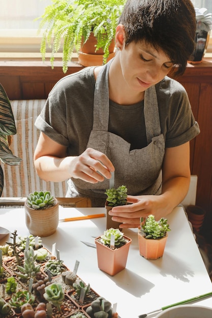 写真 甘い植物の苗にラベルを書く女性