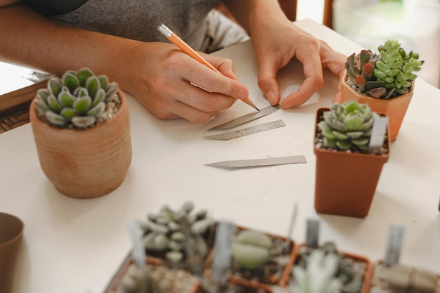 甘い植物の苗にラベルを書く女性