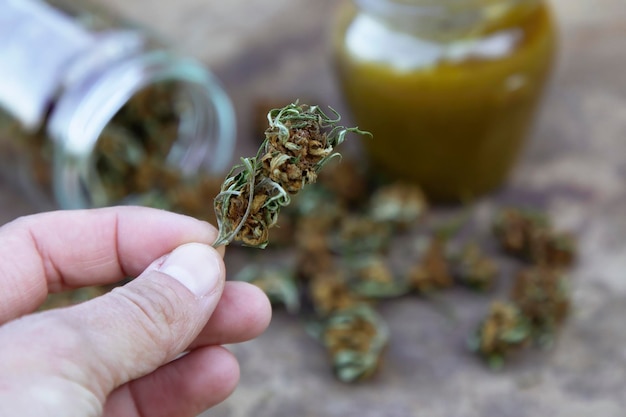 Woman39s hand holding a medical marijuana bud