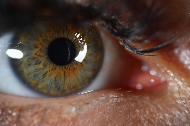 Foto occhio di donna con mascara su di esso ripresa macro estrema dell'organo della vista femminile