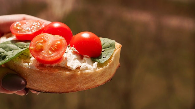 Womans hand with cherry tomato bruschetta italian wine appetizer