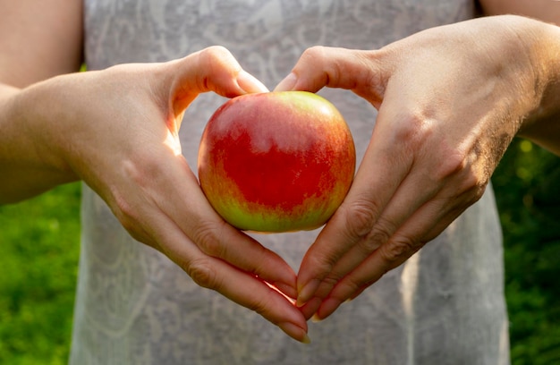 Womans hands hold red delicious apple making heart shape on apple healthy lifestyle concept