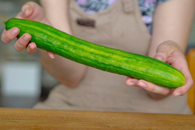 Womans hands hold a whole green cucumber closeup ripe cucumber is suitable for salads or as a side