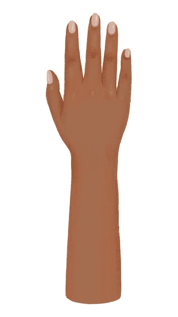 womans tanned hand png gesture illustration transparent background