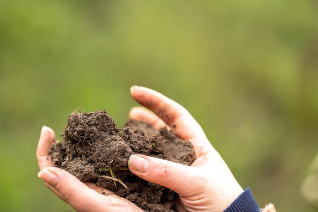 Women in agriculture working on a ranch in America Soil scientist feeling a soil sample testing for microorganisms and fungi