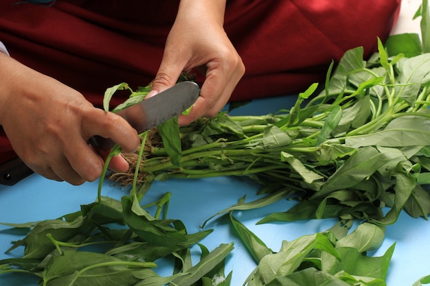 Photo a women cut water spinach stem with rustic knife