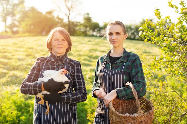 Photo women at farm collecting eggs