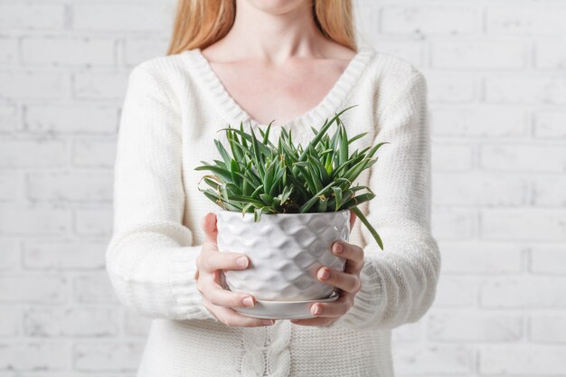 多肉植物を保持している女性の手